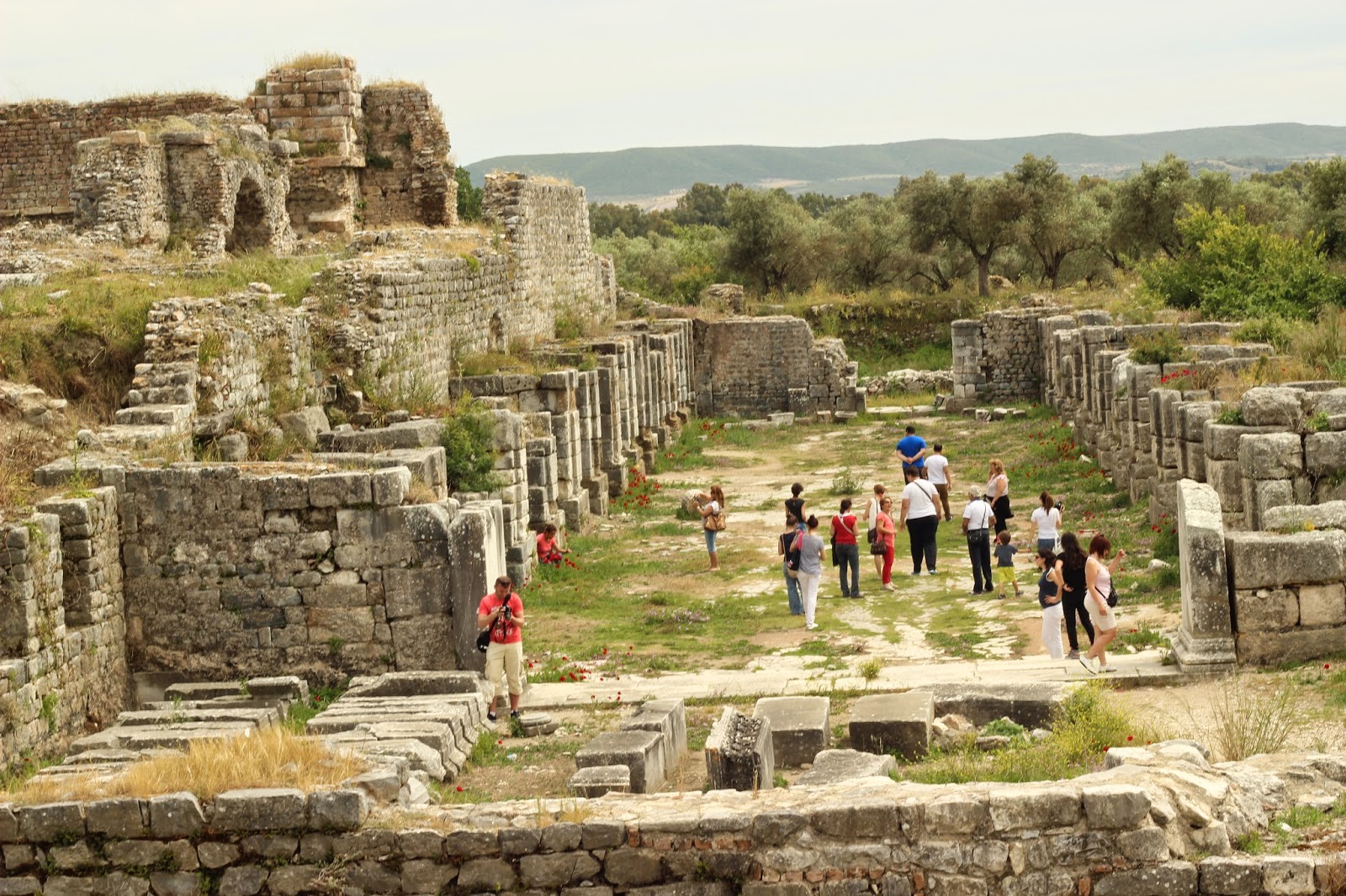 2 Day Ephesus, Priene, Miletus And Didyma Tour from Istanbul 6