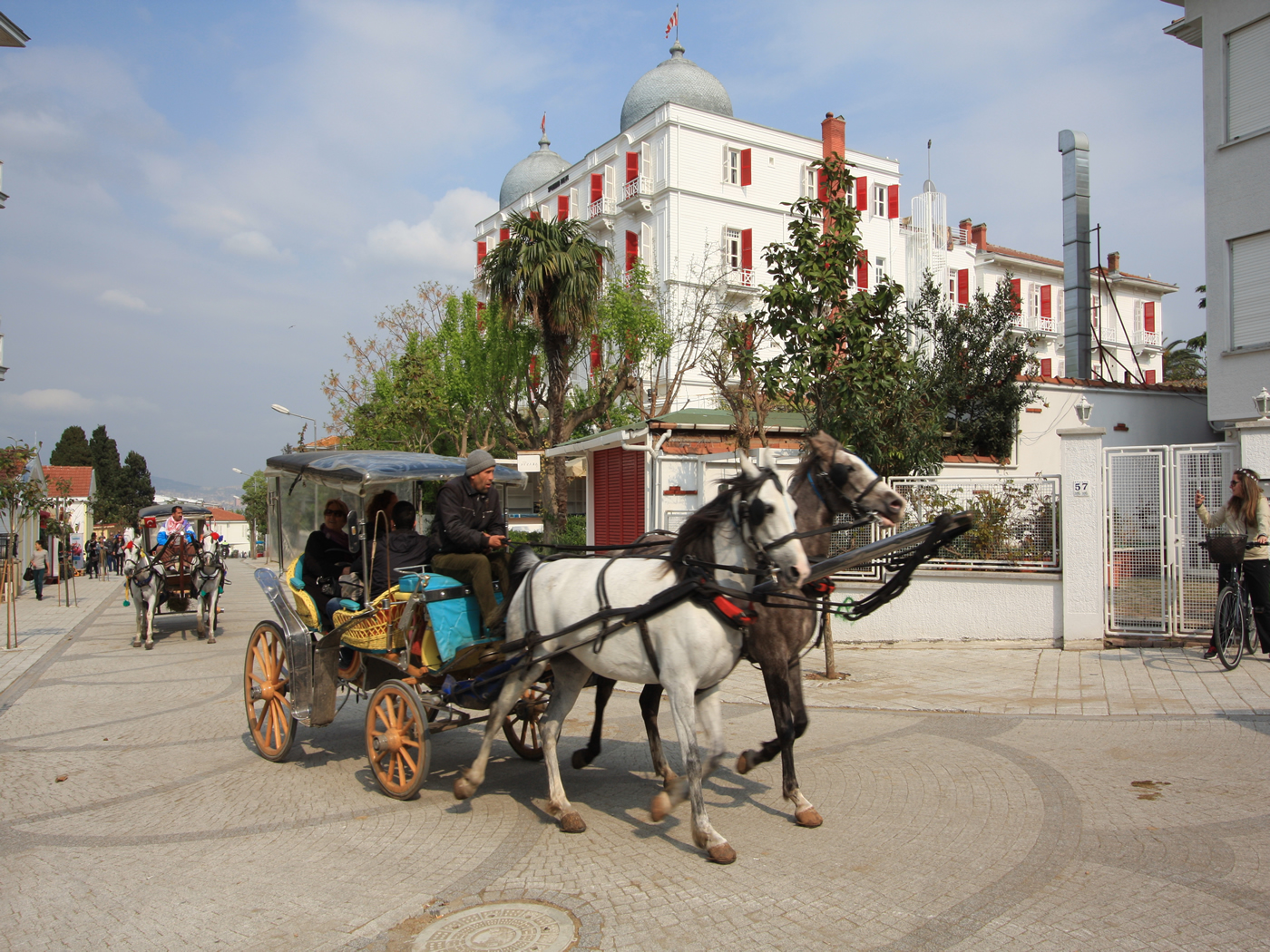 Discover Istanbul in 8 Days – Old City, Bosphorus, Princess Island & More 6