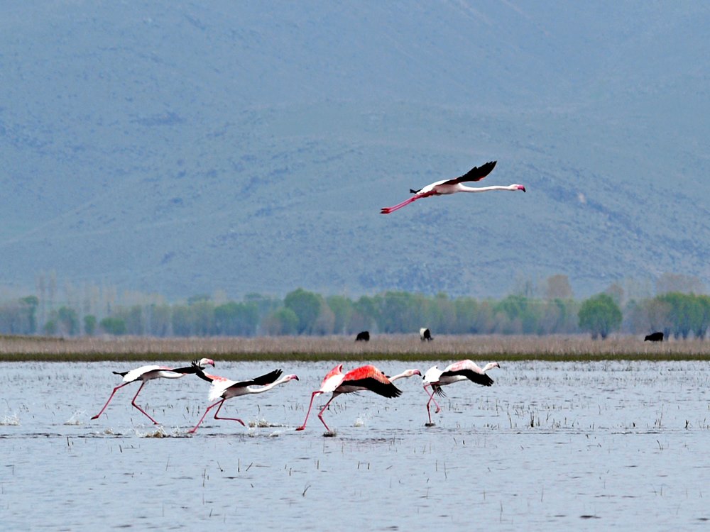 Cappadocia Kapuzbasi Waterfalls And Bird Paradise Tour 5