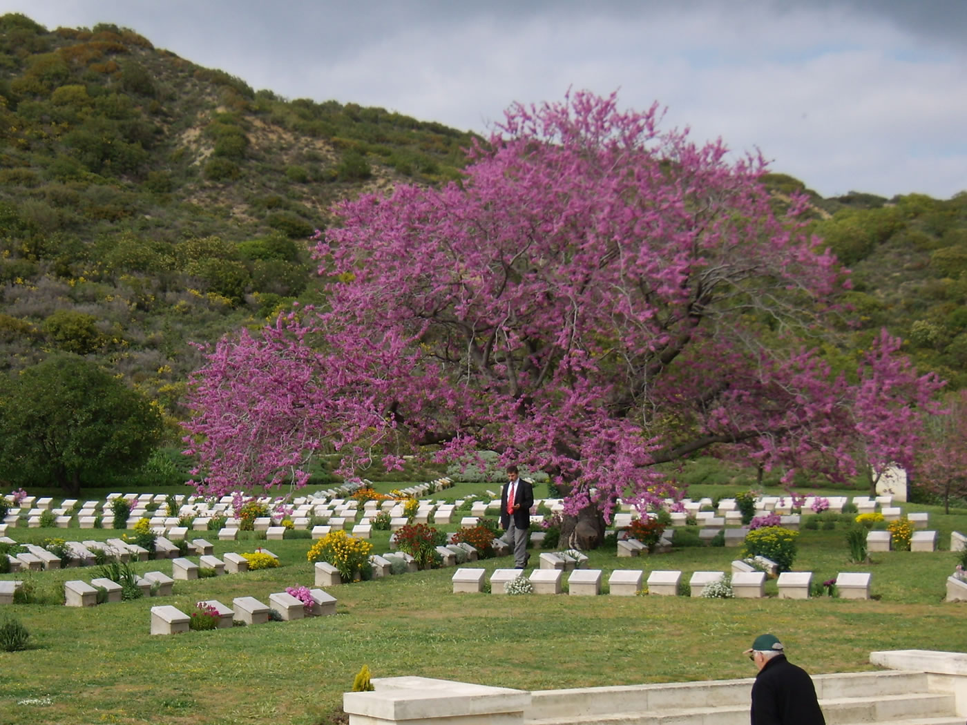 1 Day Gallipoli Day Tour from Istanbul 4