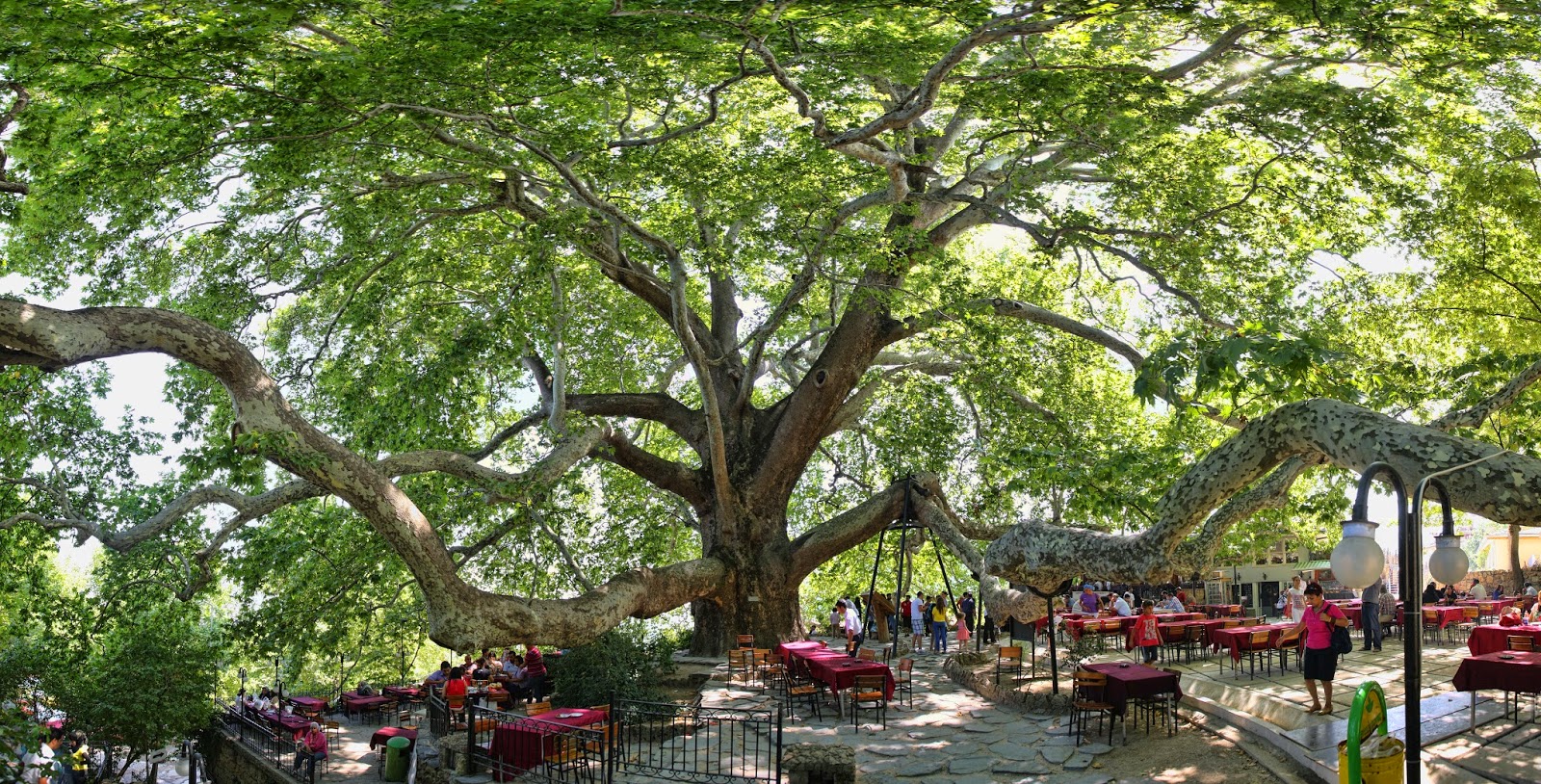 Green Bursa Day Tour from Istanbul 3