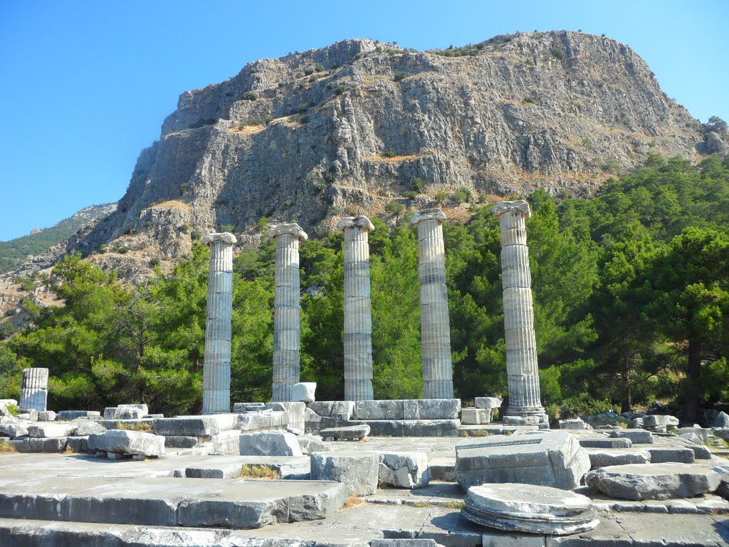 Priene, Miletus And Didyma Tour From Izmir, Selcuk, Kusadasi 4