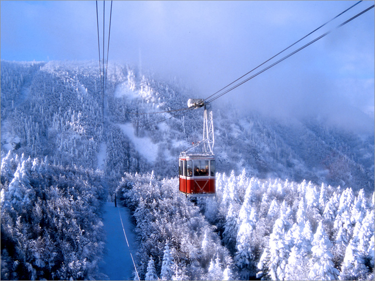 Uludag Ski Tour From Istanbul (Group Tour English Speaking Driver) 2