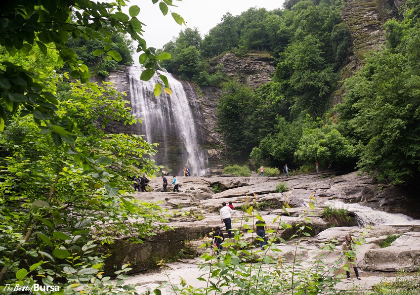 Waterfall Tour